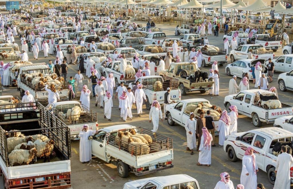 تراجع أسعار الأغنام في السعودية خلال أبريل 2026.. و«البربري» يسجل أعلى ارتفاع