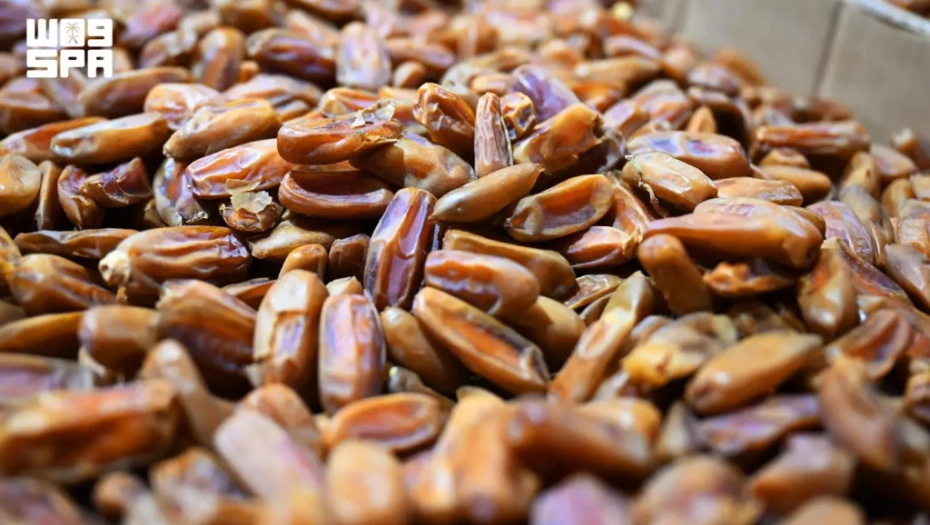المدينة المنورة ثالث أكبر مناطق المملكة إنتاجًا للتمور بـ344 ألف طن سنويًا