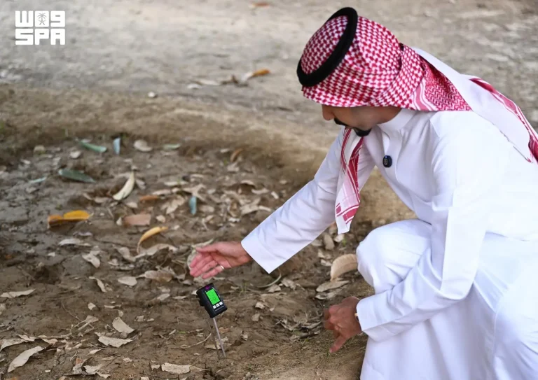 من قطرة الماء إلى ثمرة الحصاد.. رحلة زراعية جديدة في السعودية يقودها الذكاء الاصطناعي
